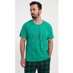 Vienetta MAN pánské pyžamo šortky Tetris: zelená – Zbozi.Blesk.cz