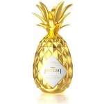 Pinaq Gold mini 17% 0,05 l (holá láhev) – Zboží Dáma