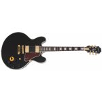 Epiphone "B. B. King" – Hledejceny.cz