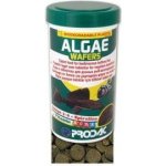 Prodac Algae Wafers 250 ml, 125 g – Zboží Mobilmania