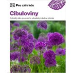 Cibuloviny – Hledejceny.cz