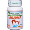 Doplněk stravy na srdce, žílu, krevní oběh Planet Ayurveda Arjuna extrakt 8:1 500 mg 60 kapslí