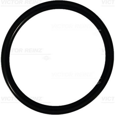 VICTOR REINZ Tesnici krouzek 40-76097-00 – Zboží Mobilmania