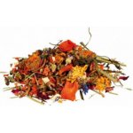 Trixie Mix přírodní pro agamy vousaté 100 g – Zboží Dáma