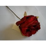 Sušená banksia coccinea - 35 cm – Zboží Dáma