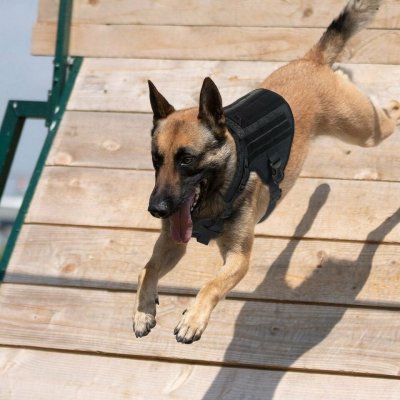 FOSTEX Postroj taktický K9 – Zboží Mobilmania