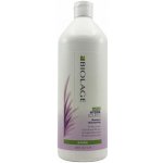 Matrix Biolage Hydrasource Shampoo 1000 ml – Hledejceny.cz