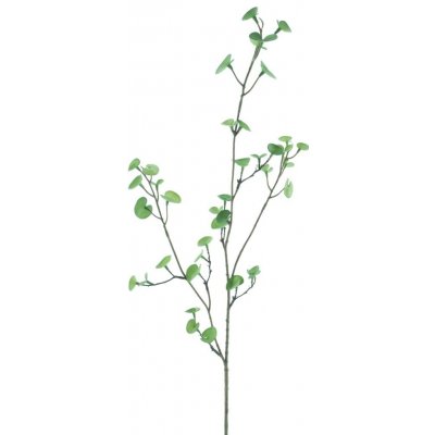Knoflikový list (button leaf) zelený V87 cm (N960601)
