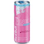 Red Bull The Spring Edition Waldbeere Sugarfree 250 ml – Hledejceny.cz