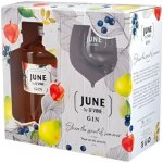 June Gin Peach 37,5% 0,7 l (dárkové balení 1 sklenička) – Zboží Dáma