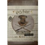 Rexhry Harry Potter: Obrana proti černé magii – Zboží Dáma