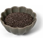 Protein&Co. BIO chia semínka 200 g – Zboží Mobilmania