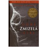 Zmizelá - Gillian Flynn – Hledejceny.cz