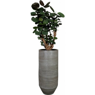 Ter Steege Váza Norell latte brown D31 H70 – Hledejceny.cz