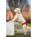 Vsepropejska Fixed červené Hárací kalhotky pro psa slabin 46 58 cm – Hledejceny.cz