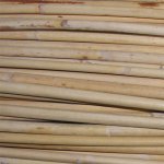 Morex Rákos Sega pr.4-6mm Aa 5204000 – Hledejceny.cz