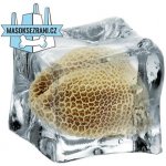 B.A.R.F. Company Hovězí dršťky zelené mleté BIO 0,4 kg – Hledejceny.cz