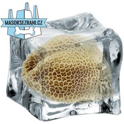 B.A.R.F. Company Hovězí dršťky zelené mleté BIO 0,4 kg – Hledejceny.cz