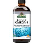 Nature´s answer Omega-3 Rybí Olej s příchutí Pomeranče 480 ml – Hledejceny.cz