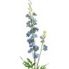 Květina Stračka (Ostrožka) - Delphinium Agathe modrá V85 cm