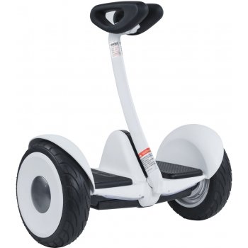 Ninebot Segway S