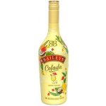 Baileys Colada 17% 0,7 l (holá láhev) – Sleviste.cz