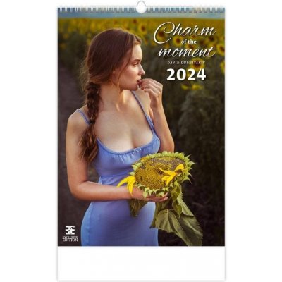 nástěnný Charm of the Moment / Exclusive Edition Helma365 2024 – Hledejceny.cz