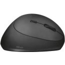 Trust Orbo Wireless Ergonomic Mouse 23002