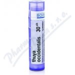 THUYA OCCIDENTALIS POR 30CH GRA 4G – Hledejceny.cz