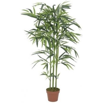 82509160 - Europalms Bambus v květináči, 120cm - 0