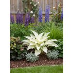 Bohyška 'White Feather' 1 ks – Zboží Dáma