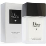 Dior Homme 2020 balzám po holení 100 ml – Hledejceny.cz