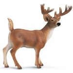 Schleich 14818 Zvířátko Jelen Běloocasý – Sleviste.cz