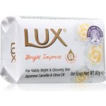 Lux mýdlo Bright Impress 80 g – Zboží Dáma