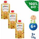 Salvest Põnn BIO Ovocné smoothie s ananasem 3 x 110 g