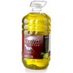 Silvita Hyalgel Horse jablko 5 l – Hledejceny.cz
