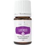 Young Living Levandulový esenciální olej Lavender+ 100% 5 ml – Hledejceny.cz