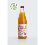 Moštárna Hostětín mošt jablko rakytník Bio 750 ml – Zboží Dáma