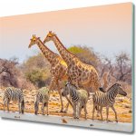 Sklenene deska do kuchyne Žirafy a zebry 60x52 cm – Zboží Mobilmania
