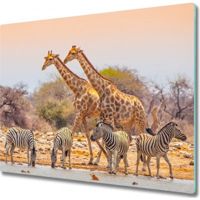 Sklenene deska do kuchyne Žirafy a zebry 60x52 cm – Zboží Mobilmania