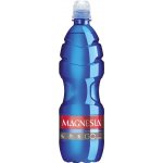 Magnesia Go přírodní minerální voda neperlivá 0,75 l – Hledejceny.cz