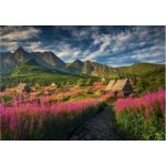 Dino Gaseinicovo údolí 1000 dílků – Zboží Dáma