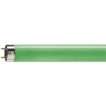 Philips lineární MASTER TL-D 36W/ 17 G13 zelená – Hledejceny.cz