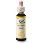 Bachovy květové esence Hořec nahořklý Gentian 20 ml – Hledejceny.cz