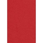 Amscan ubrus papírový 137cm x274cm – Sleviste.cz