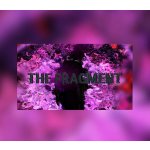 The Fragment – Hledejceny.cz