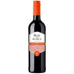 Brise de France Syrah polosladké francouzské červené 12% 0,75 l (holá láhev) – Hledejceny.cz