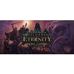 Pillars of Eternity (Hero Edition) – Hledejceny.cz