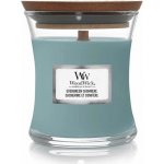 WoodWick Evergreen Cashmere 85 g – Zboží Dáma
