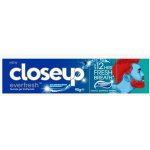 Closeup Everfresh Peppermint Drops 90 g – Hledejceny.cz